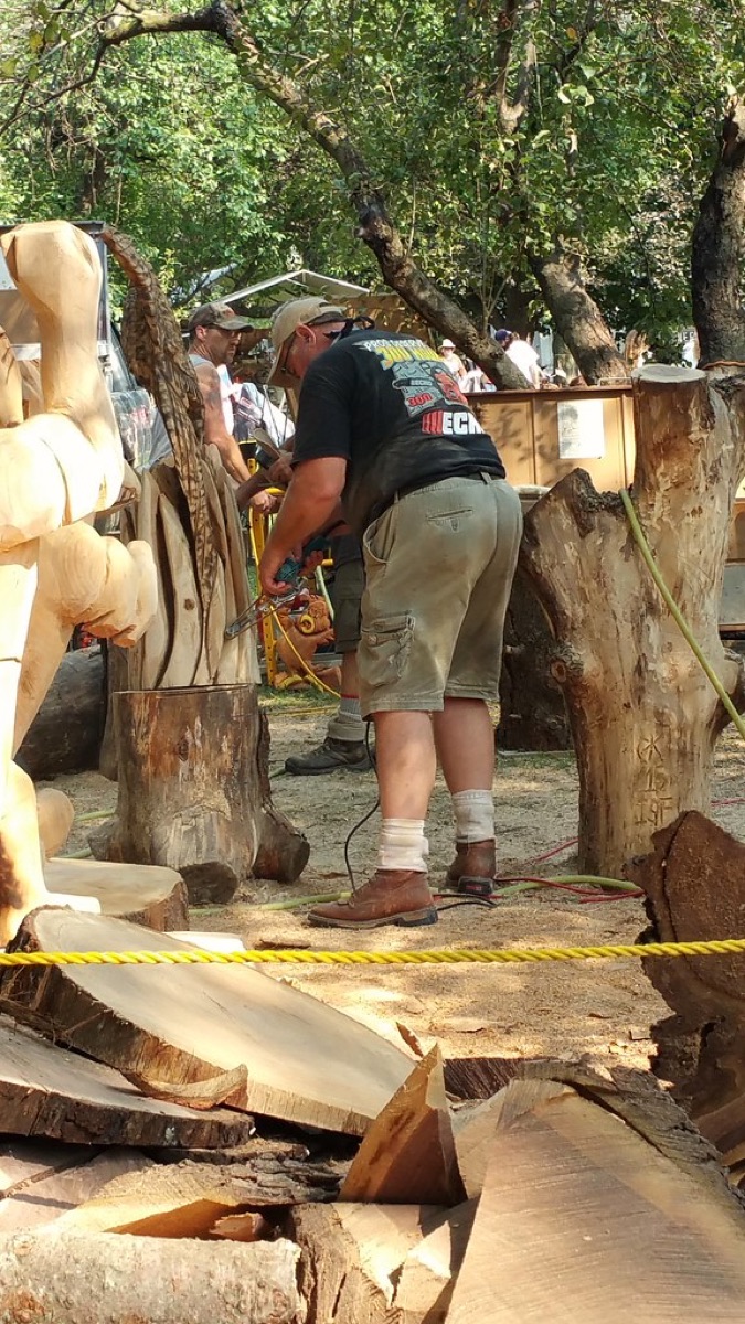 When does a tree actually need to come down?