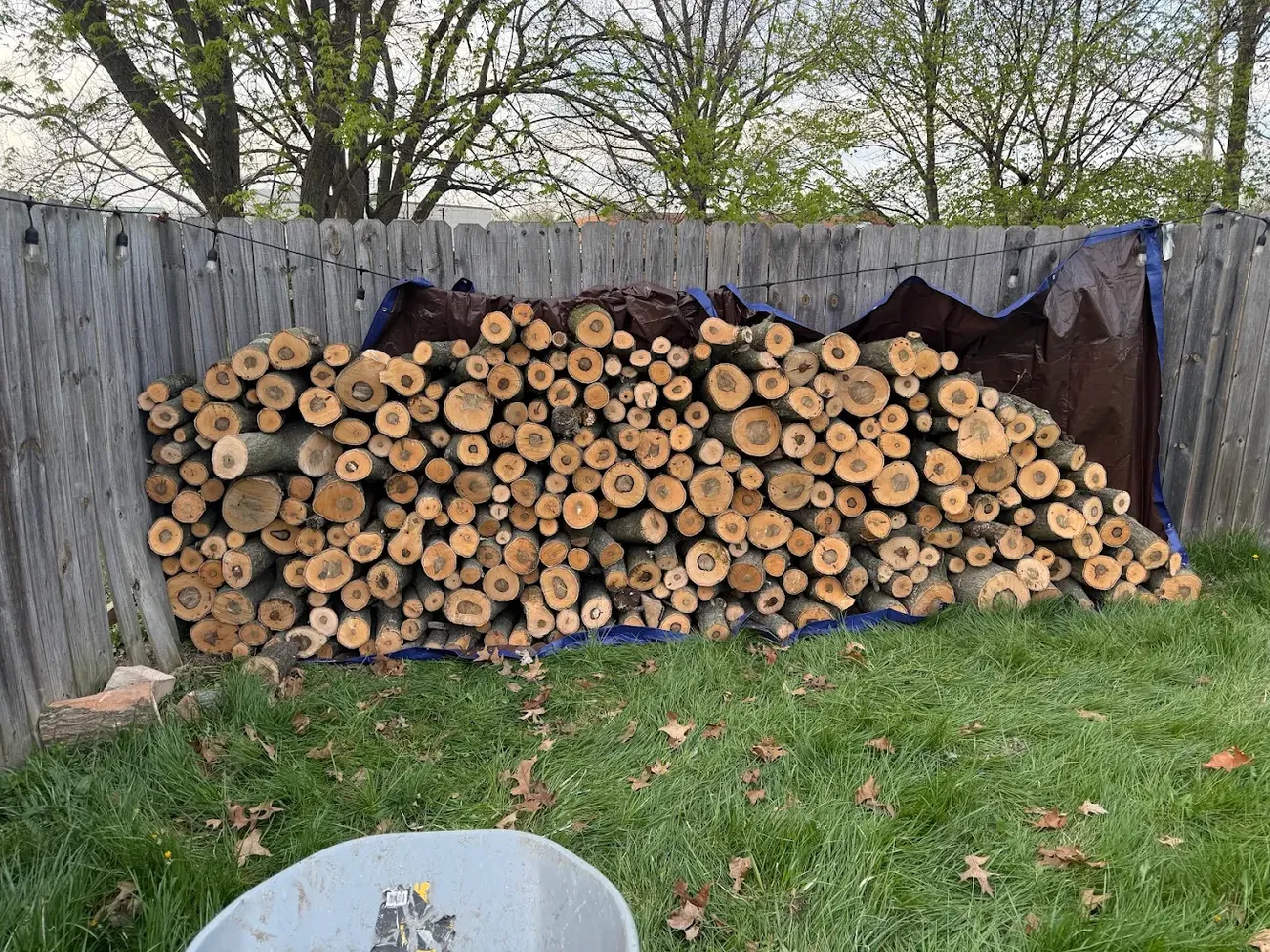 Monte's seasoned firewood stacked and ready to deliver
