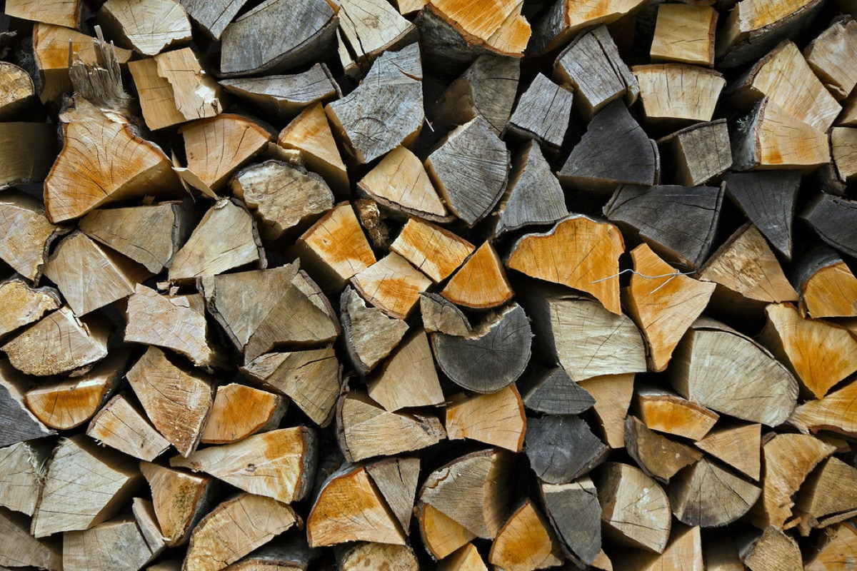 Stacked seasoned firewood