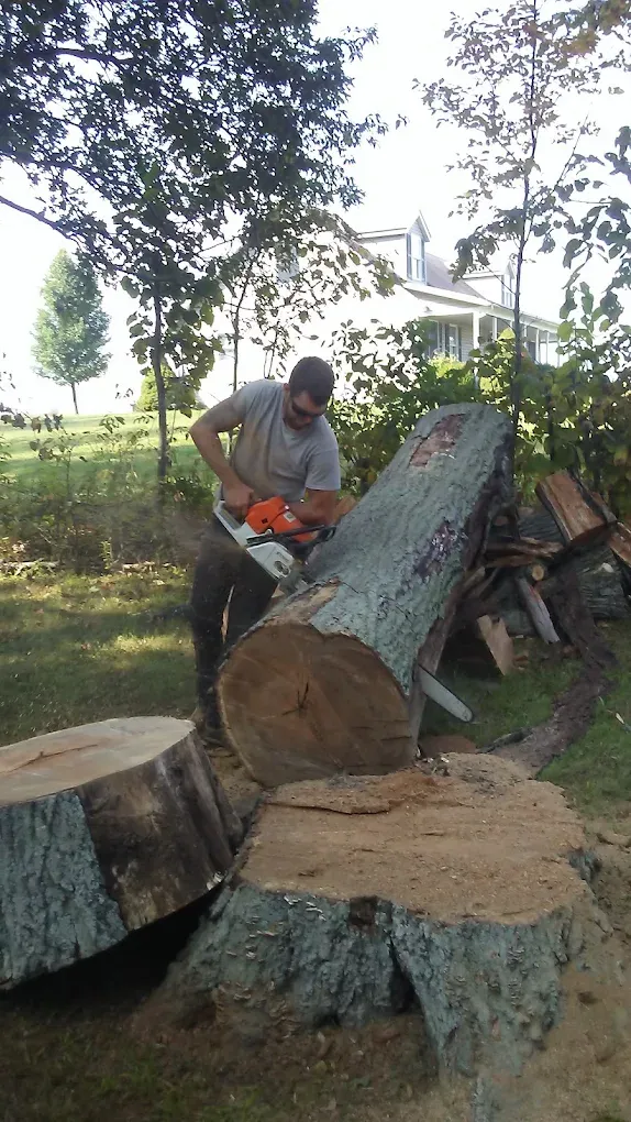 Monte's crew removing a large tree beside a Delaware, Ohio home