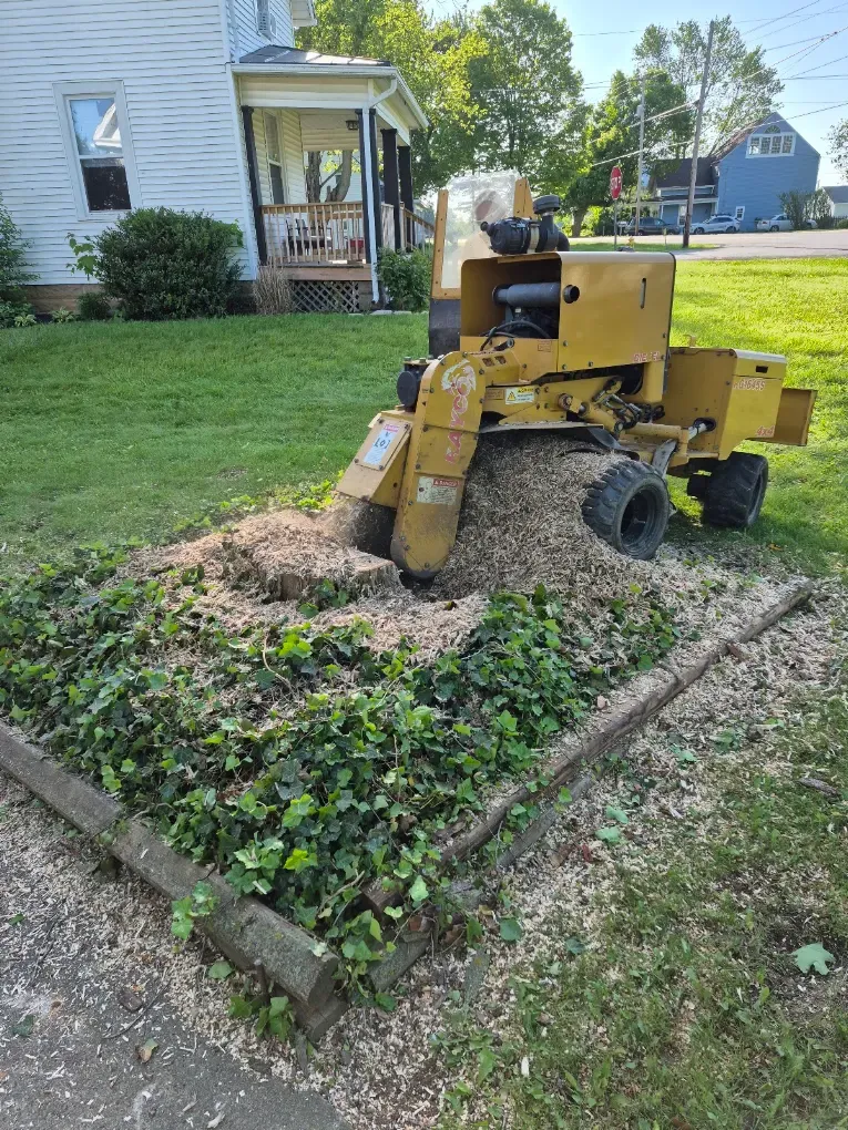 Stump grinder removing a stump in a Delaware County yard