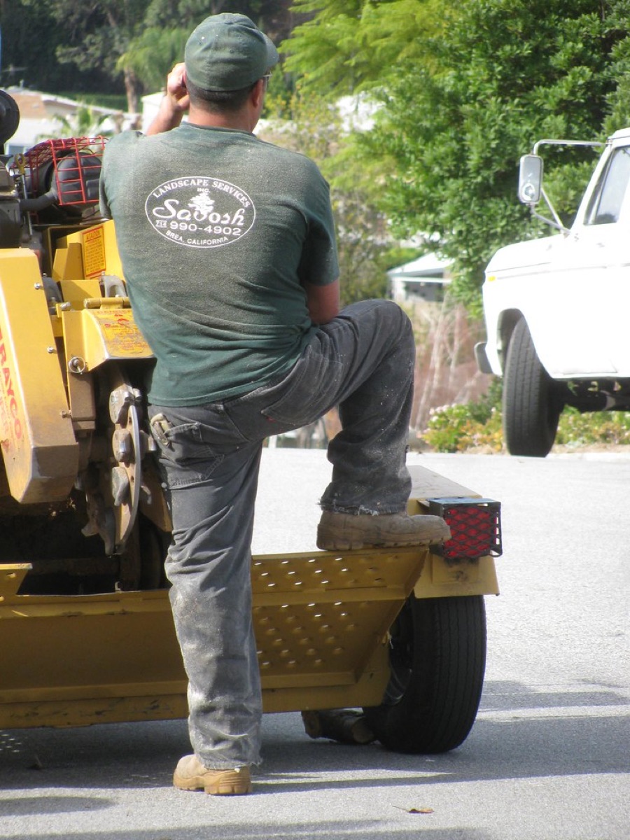 Emergency oak removal